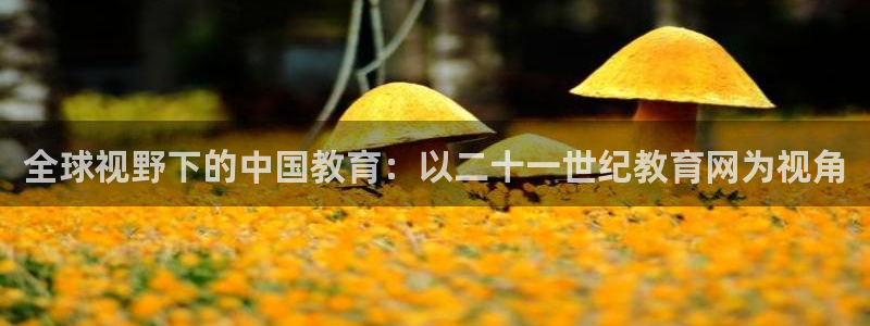 新宝5如何下载