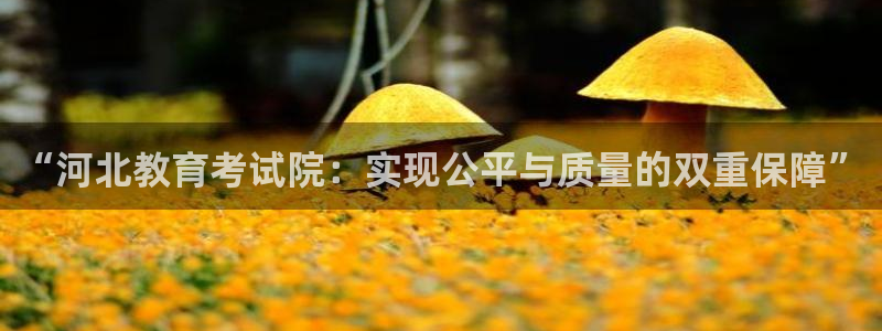 新宝5 - 测速登陆