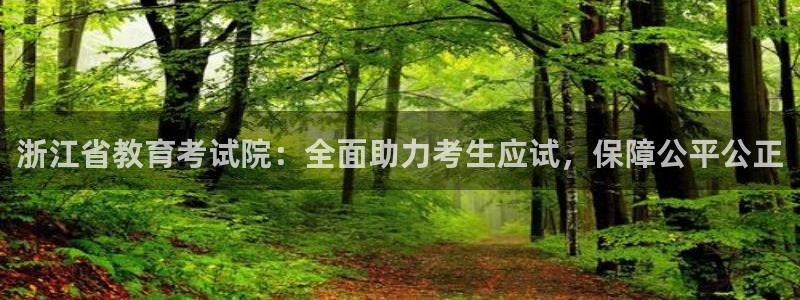 新宝5什么时候上市