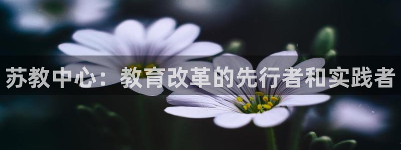 有人知道新宝5么