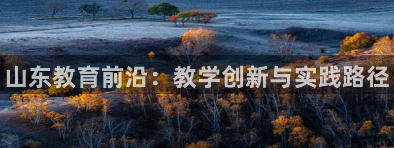 新宝5下载到桌面