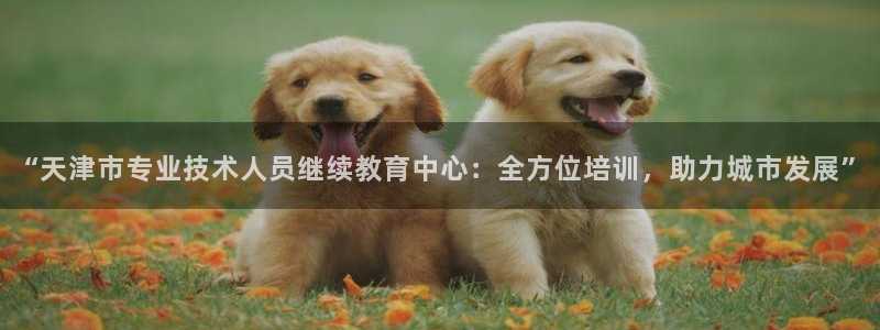 新宝5怎么下载到桌面