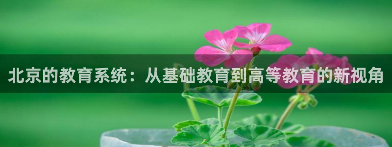 新宝5官方下载地址