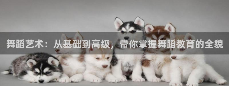 新宝5什么时候上市