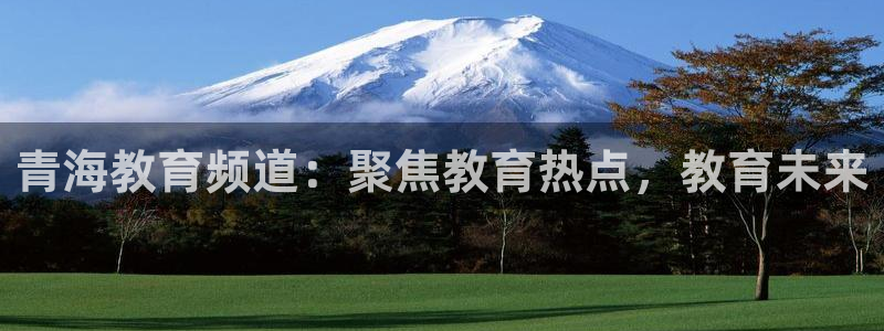 新宝5新宝6顺达