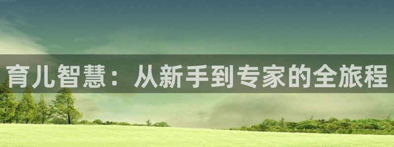 新宝5彩票平台登陆