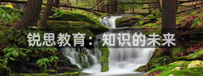 新宝5下载到桌面