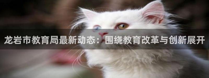 新宝5什么时候上市