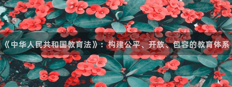新宝5娱乐主管